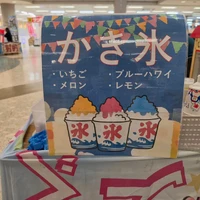 画像288