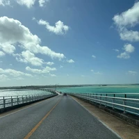 画像294