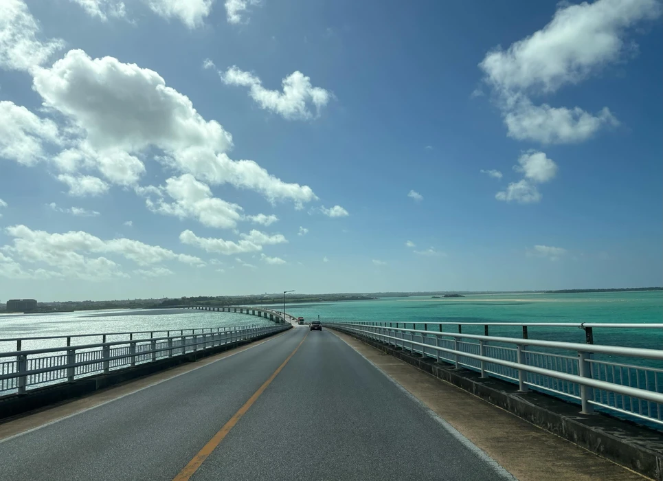 画像294