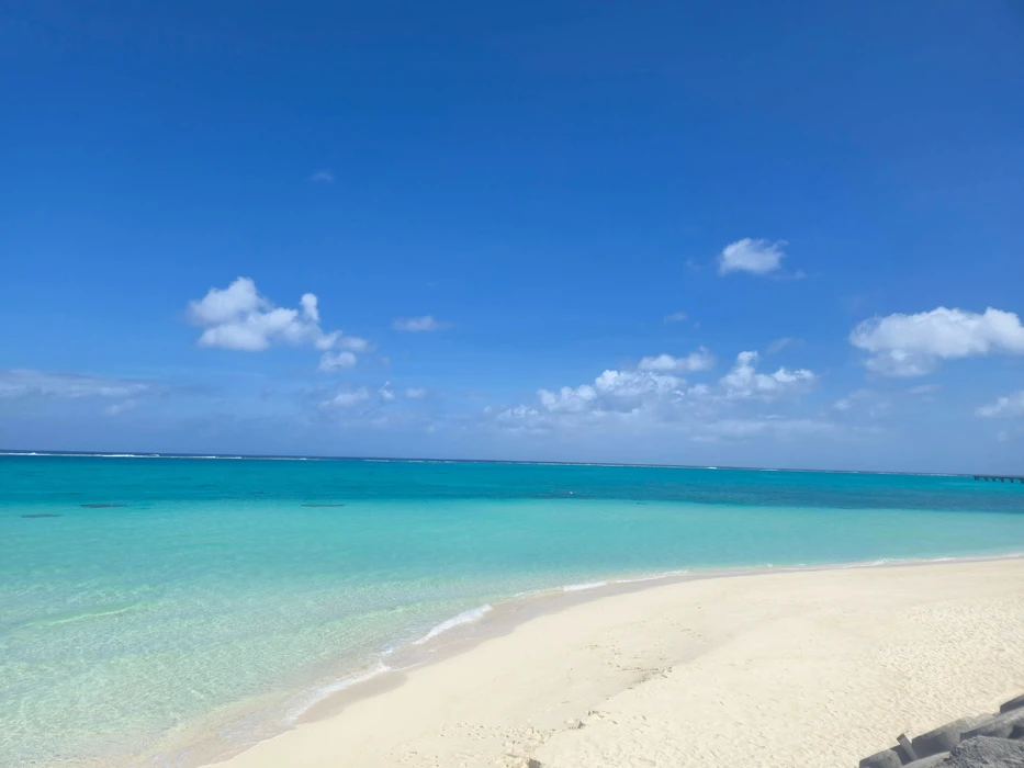 画像298