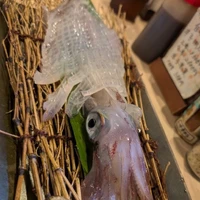 画像322