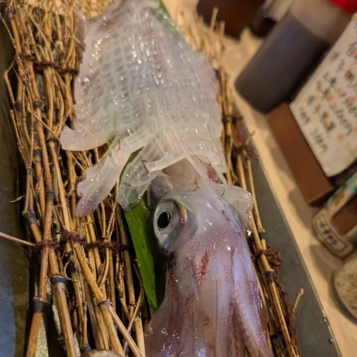 画像322